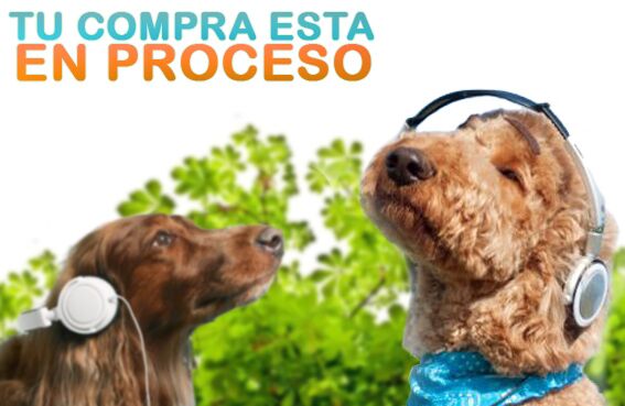 Favor de esperar