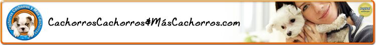Cachorros y mas cachorros